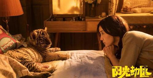 电影奇怪的她在线观看,电影奇怪的她在线观看之旅  第3张